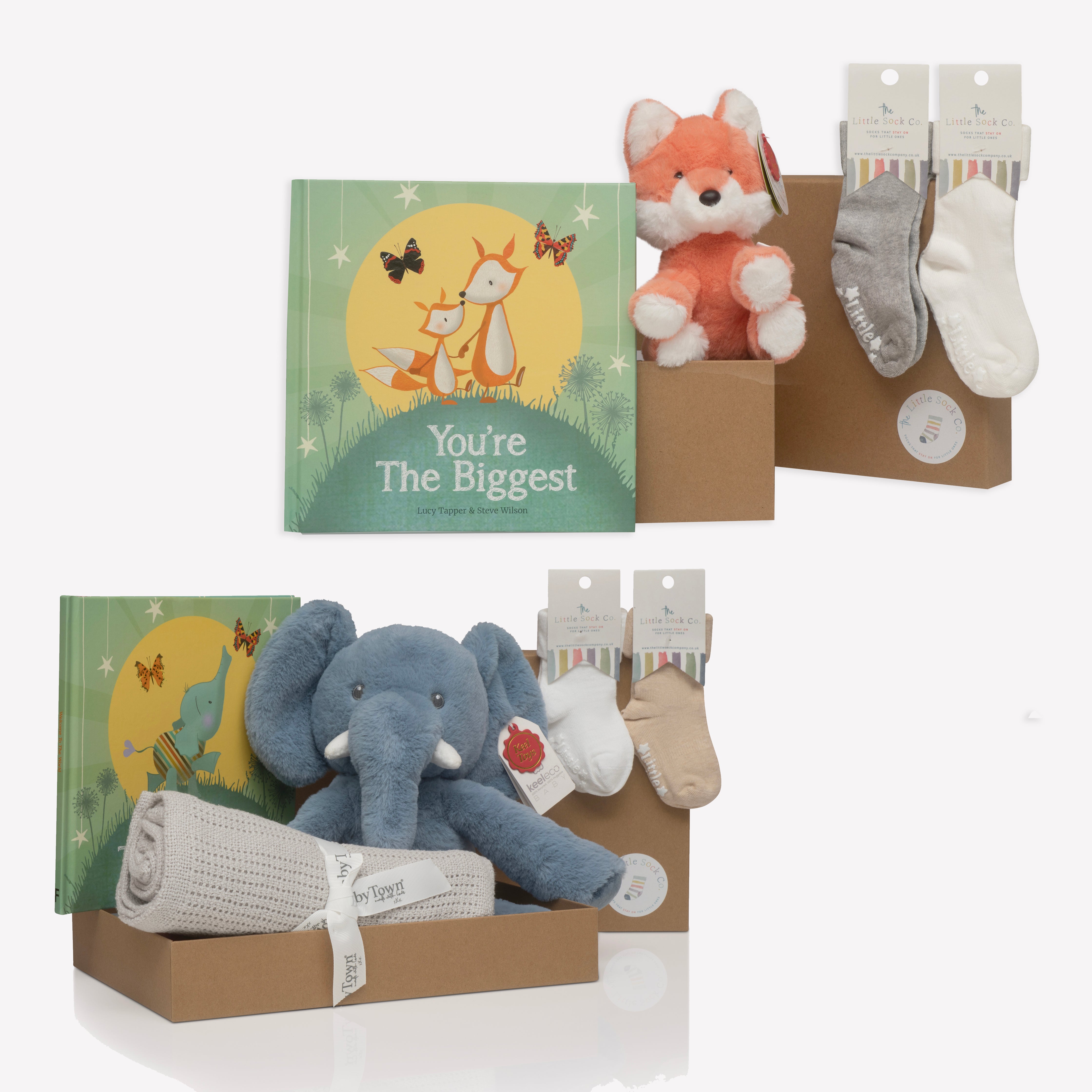 Welcome to the World + Sibling- Gift Set for a Newborn & their Sibling – The  Little Sock Company