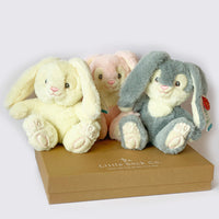 We're Going on an Egg Hunt Gift Set - a Cuddly Easter Gift for Baby and Toddlers
